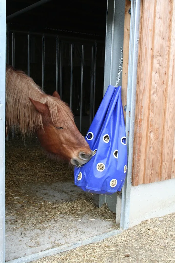EquiASS - photo 2