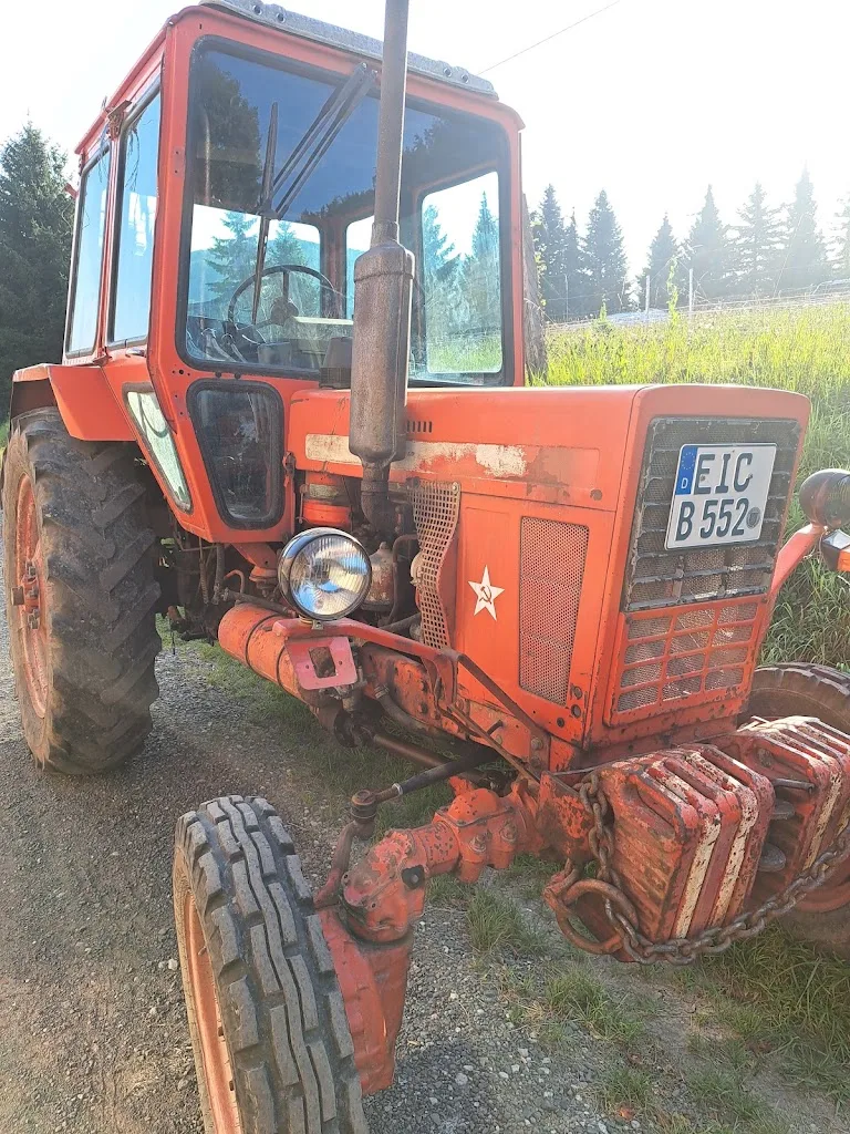 Hof Ludolph - Islandpferde vom Reckenbühl - Foto 3