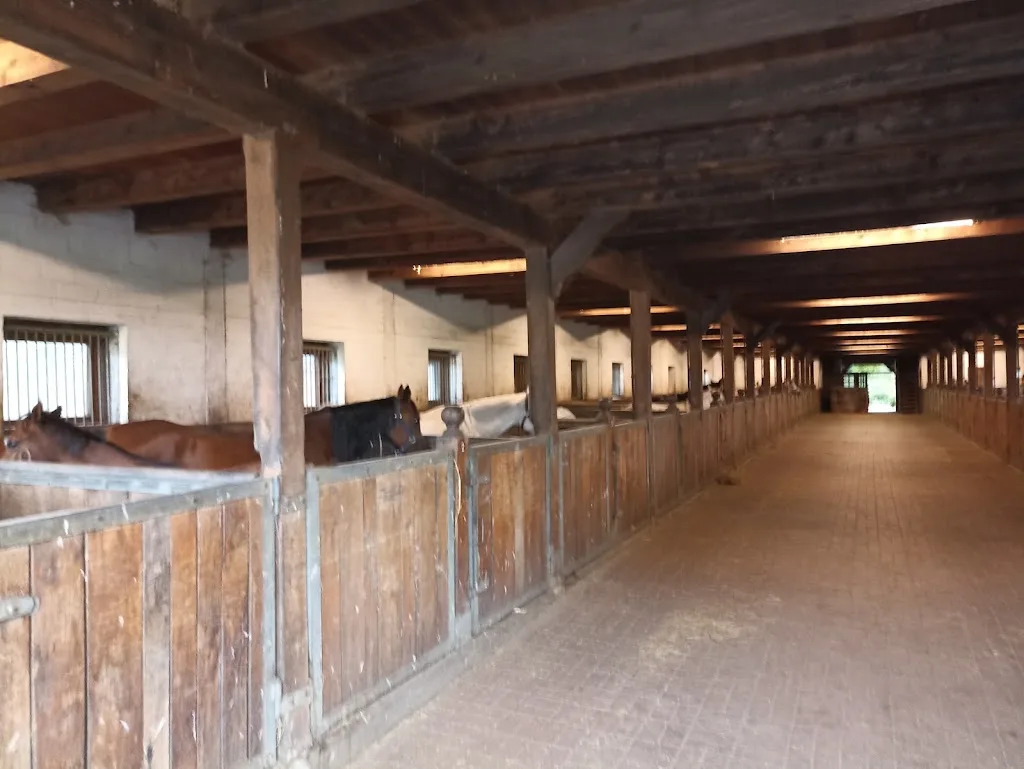 Dreschhaus - Abfohlstall - Foto 1