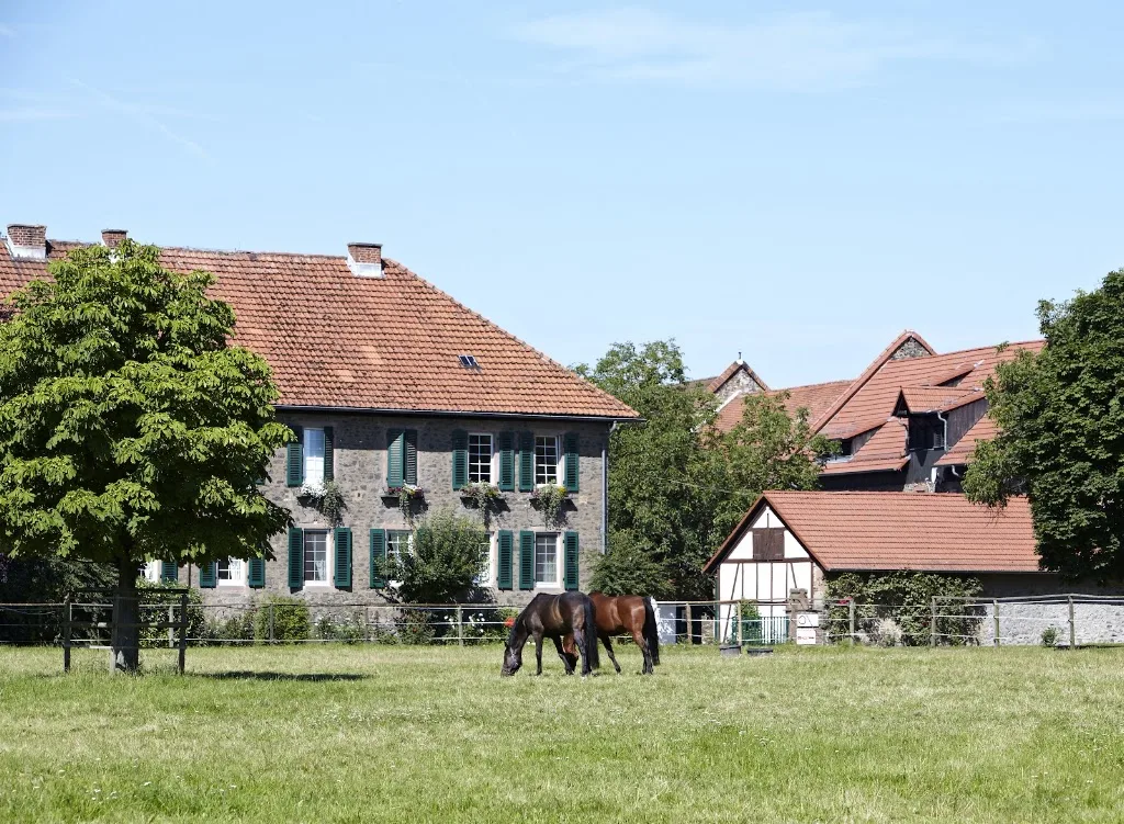 Kinzigheimerhof - photo 3