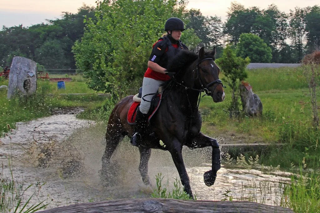 Lautenbacherhof - Sebastian Lautenbacher - photo 1