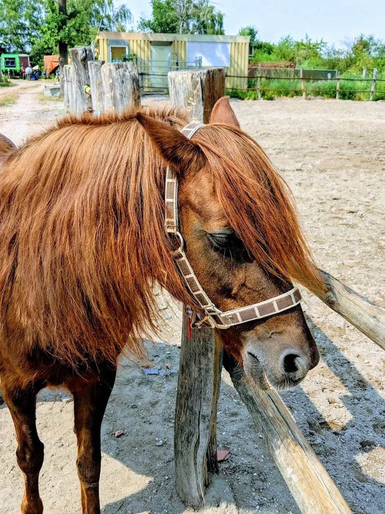 Doc O'Lena Ranch - photo 3