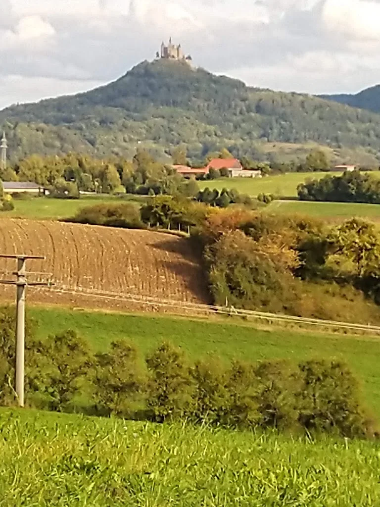 Reit- und Fahrverein Grosselfingen e.V. - Foto 1