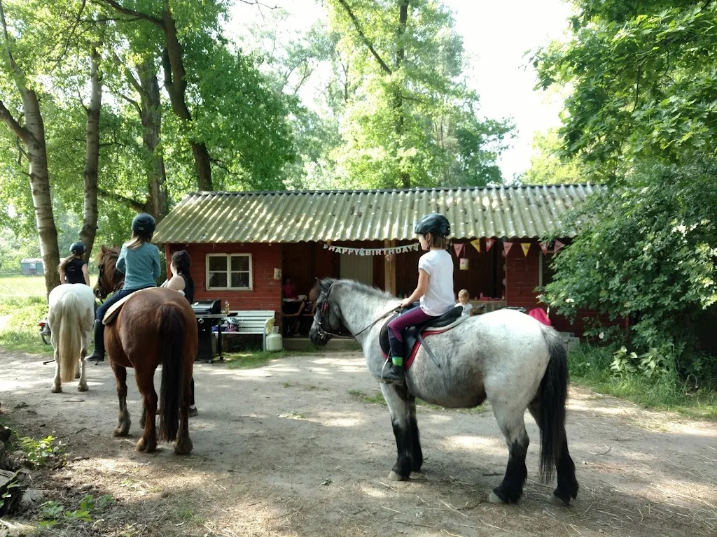 Talking-Horse-Farm von Esther Paulus - Foto 2