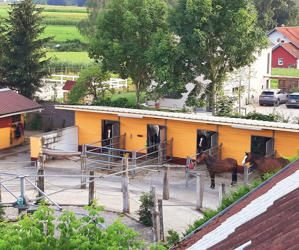 Reitanlage Rotachmühle - photo 3