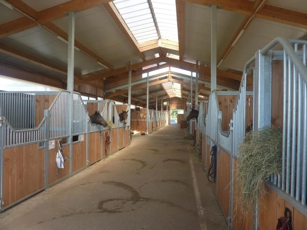 Freizeit- und Gangpferdestall Vogelhof - Foto 2