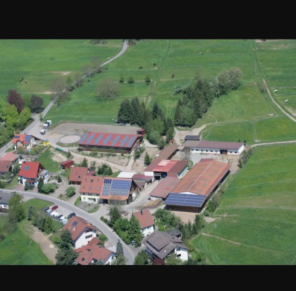 Reiterhof Fiedel - Foto 3