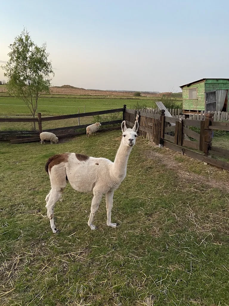 Follow Your Dream Ranch - photo 1