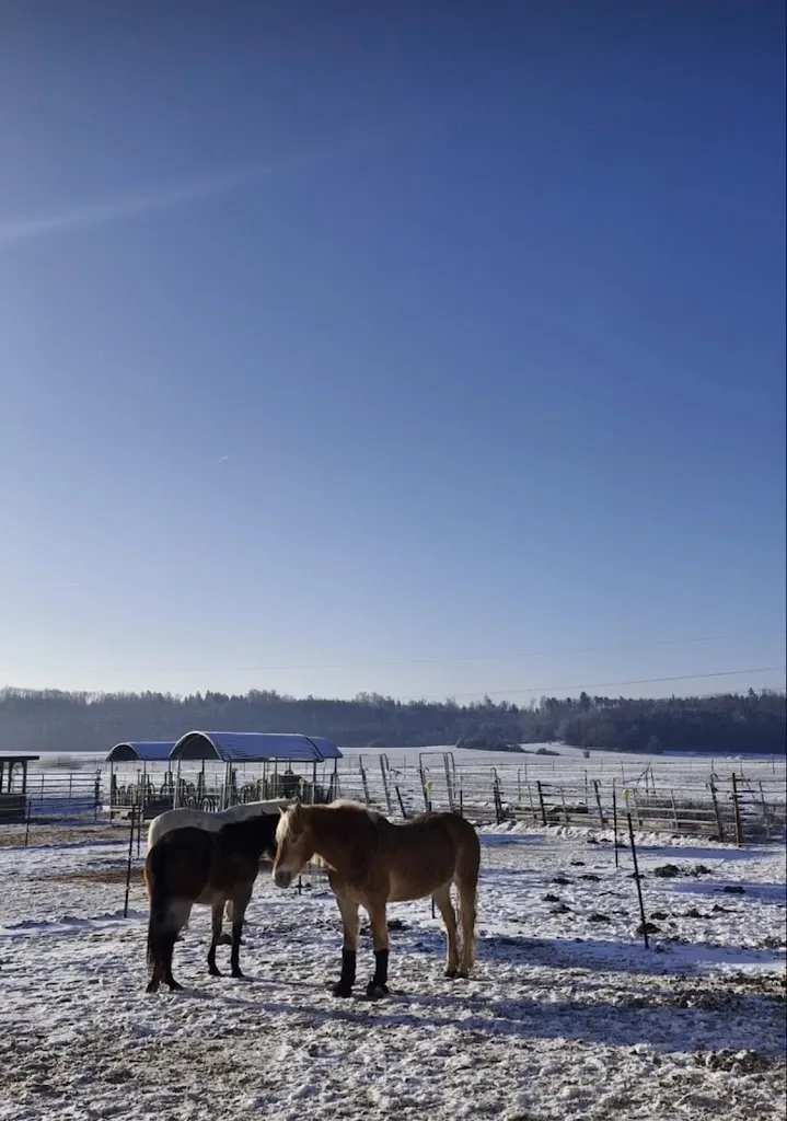 Follow Your Dream Ranch - photo 2
