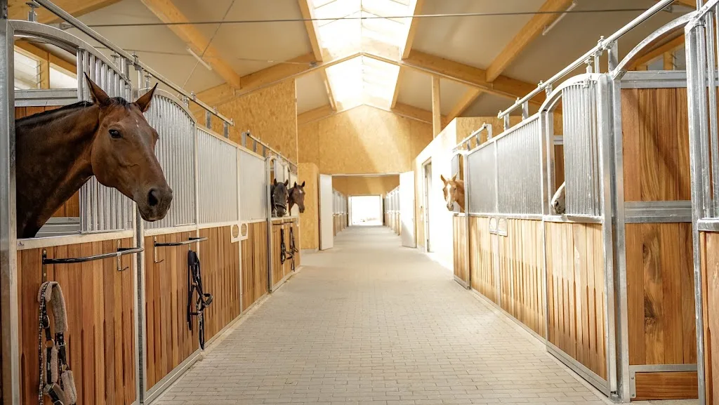 Reitanlage Idishof - Foto 2