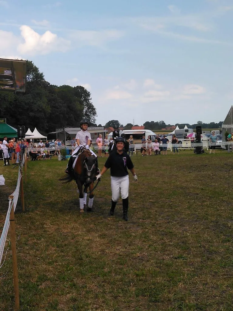 Reitsportanlage Glaap - Foto 3