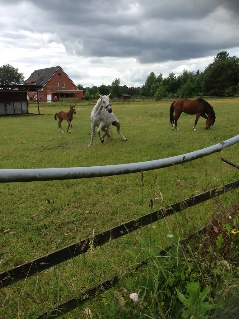 Reitstall Ohrt - Foto 1