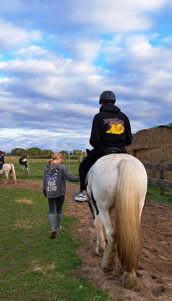 Hof "Fuhne Ranch" - photo 1