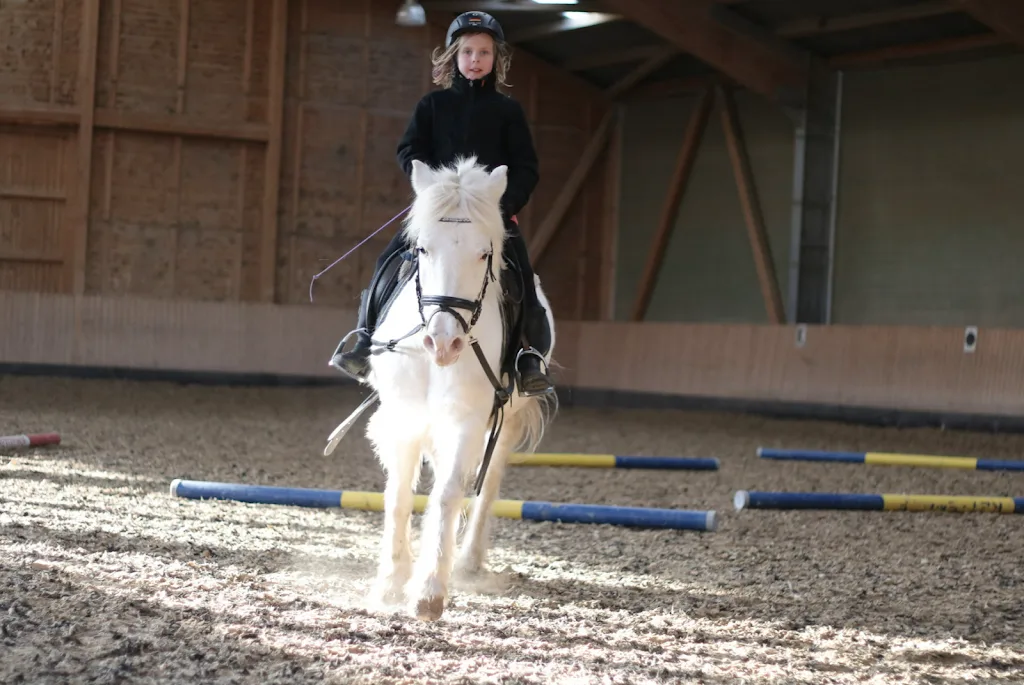 Pferdepension & Reitanlage Rettenhof - Christian und Claudia Siebald - photo 2