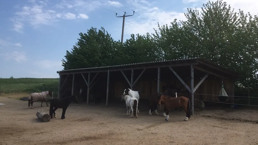 Reitstall Klein - Foto 2