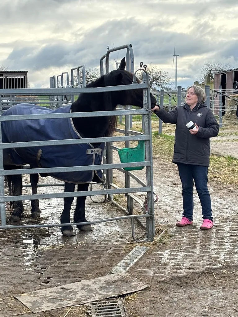 HH Trainingsstables Familie Mader - photo 2