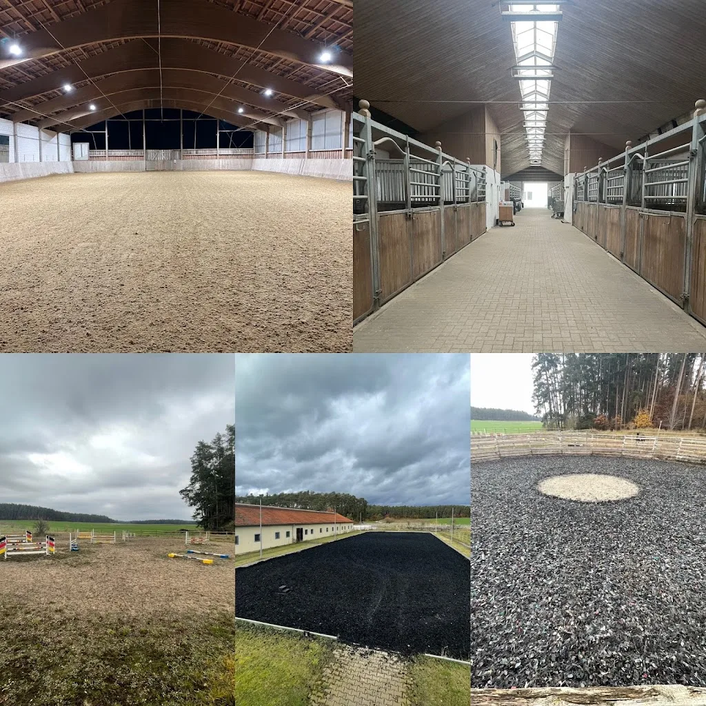 Reitanlage Mönchswald - photo 1