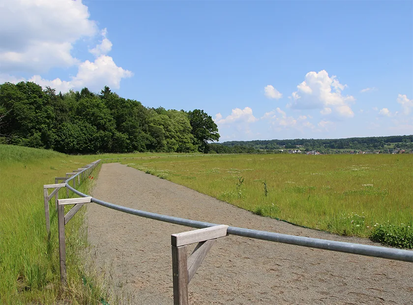 Islandpferdezentrum Zweibrücken - Buchenwaldhof - Foto 1