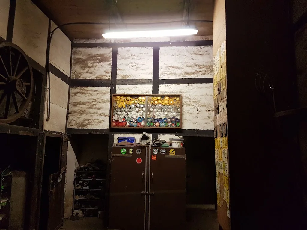 Fohlenaufzucht Pickhinke - Foto 2