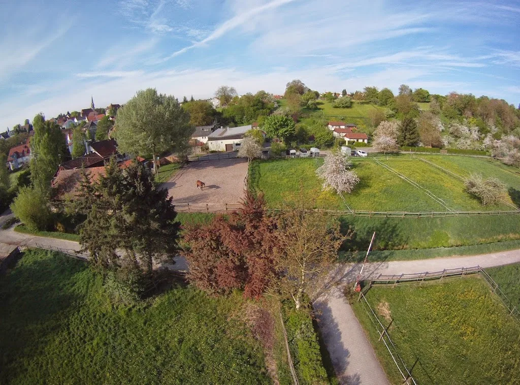 Reitverein Freudental - photo 3