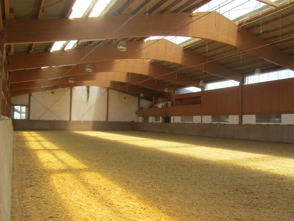 Reitpferdezucht Frankenhof & Reitclub Rehau-Frankenhof - Foto 1