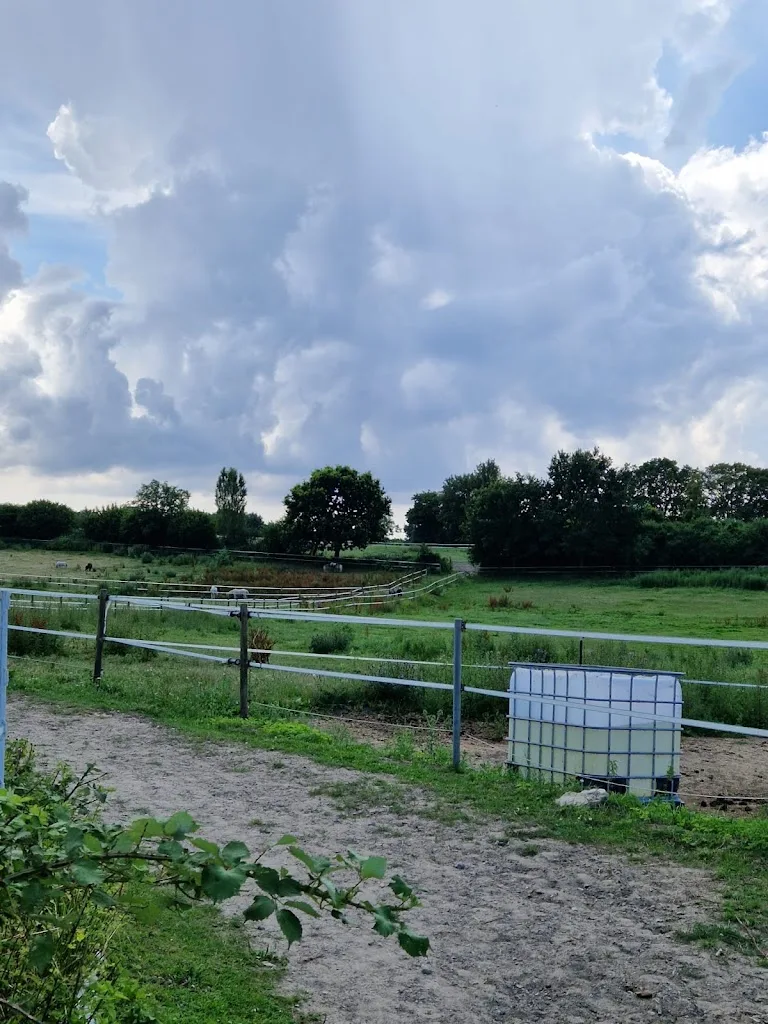 Hof Eichendiek - Foto 1