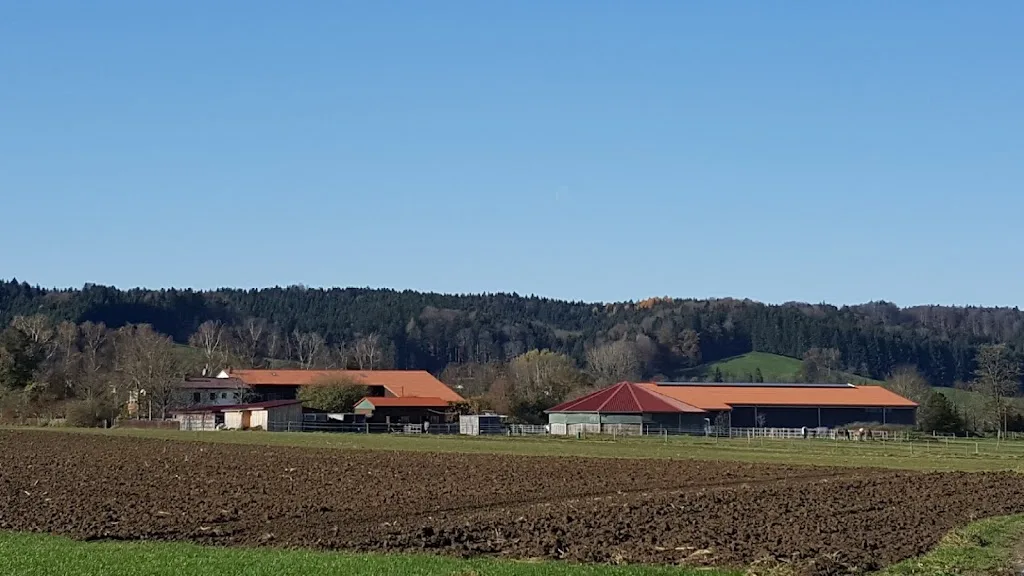 Hofgut Goldenes Tal - Foto 2
