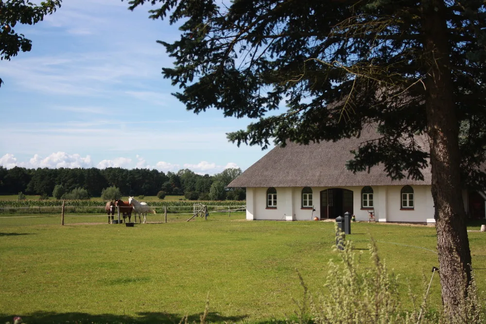 Wellenreiterhof Manderow - Foto 3