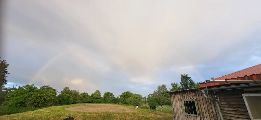 Reitstall Petrihof - Foto 1