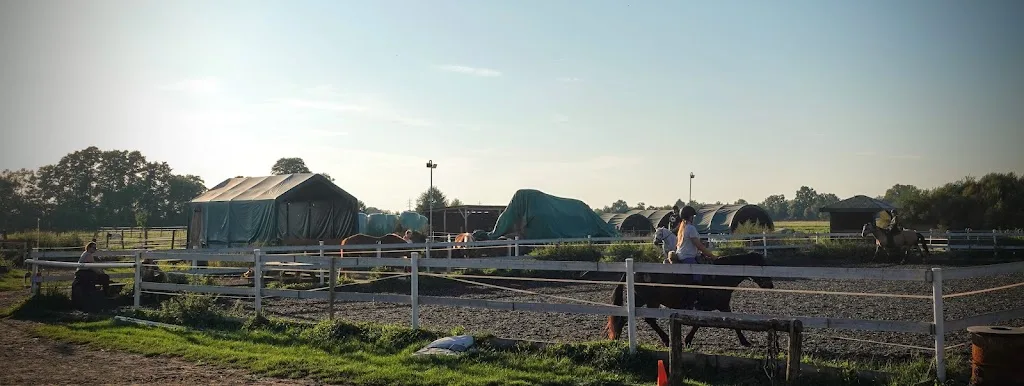 Therapiehof Rollingranch - Reittherapie - Foto 2