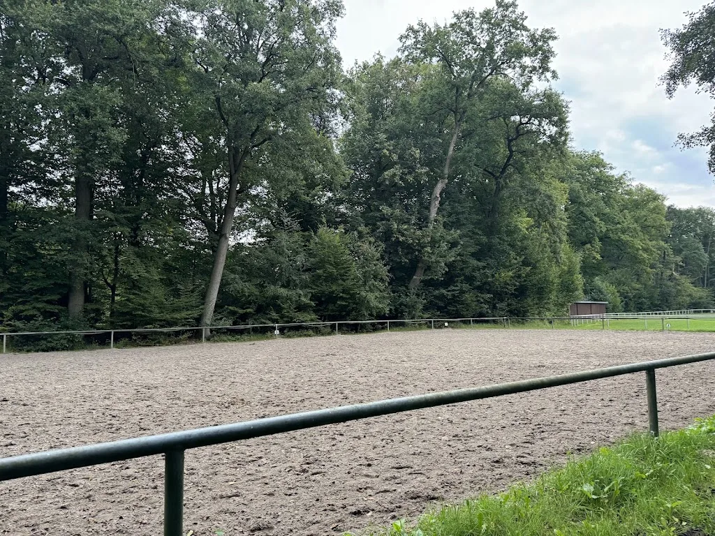 Pony- Jugend- Reit- und Fahrverein Knesebeck e.V. - Foto 1