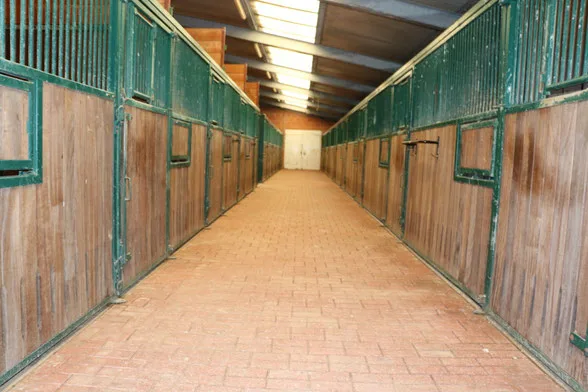 Reitanlage Eichenloh - Foto 1