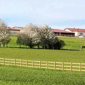 Reitstall Weitbrecht - photo 1