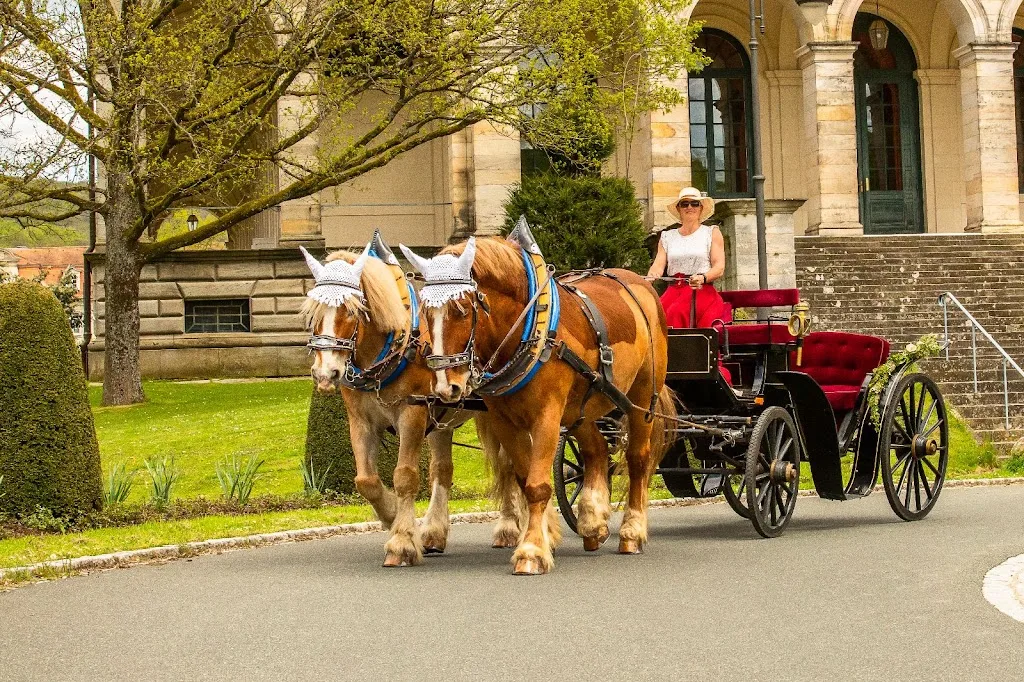 Müller’s Kutschfahrten von der Forest Mountain Ranch-Eckarts - Foto 3