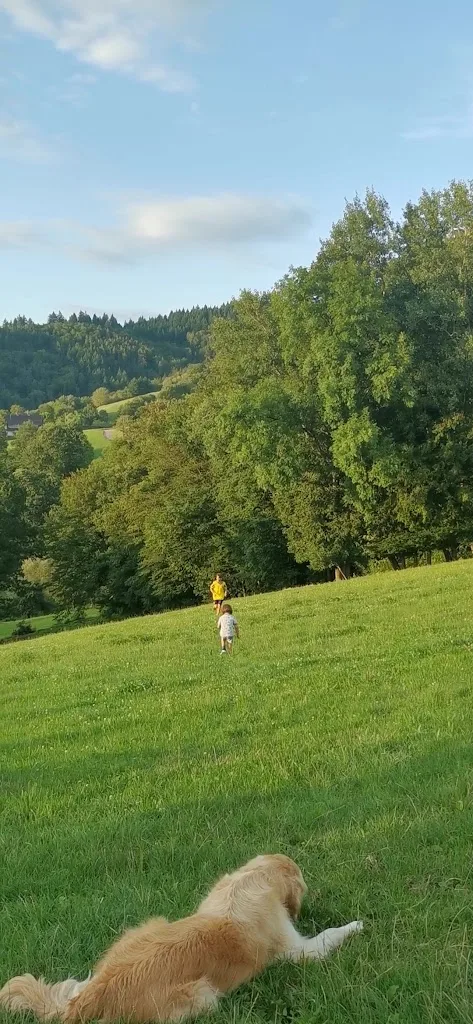 Reitstall Hägenhof - Foto 2