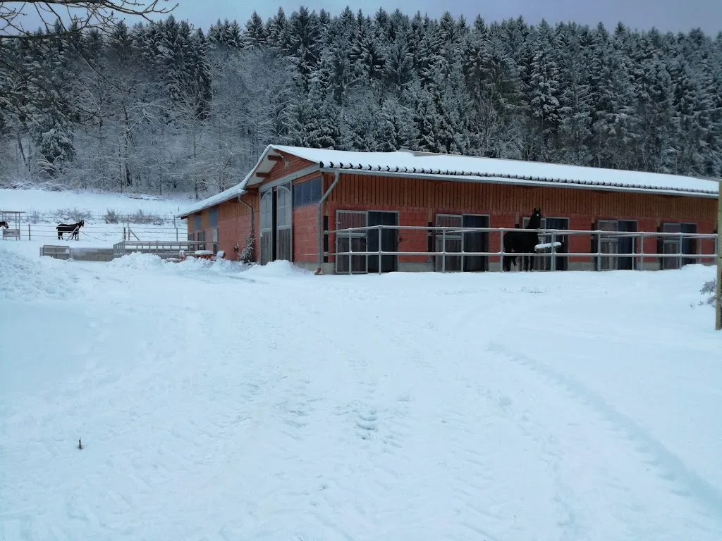 Pferdestall Pulte, Pensionsstall Pulte - Foto 1