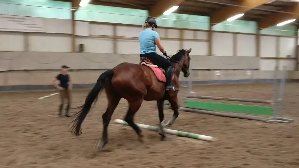 ReitClub Rastatt - photo 1