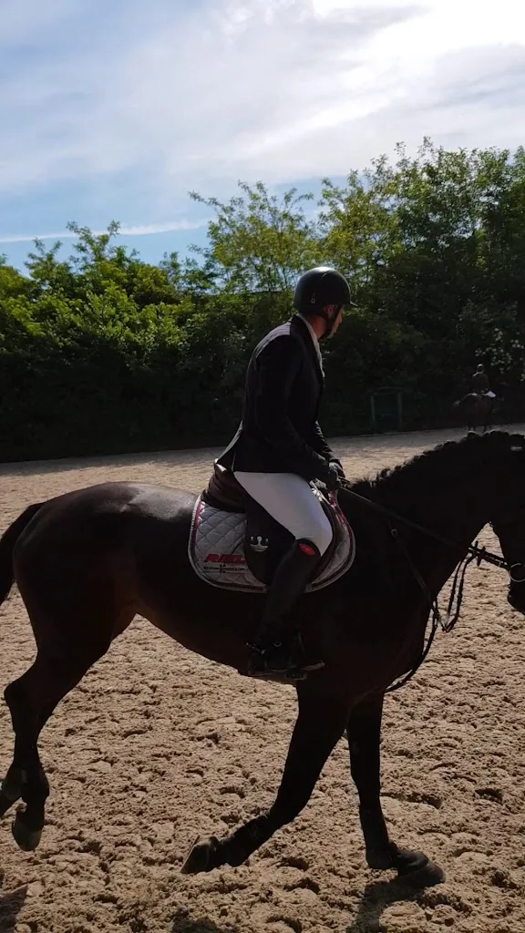 ReitClub Rastatt - photo 2
