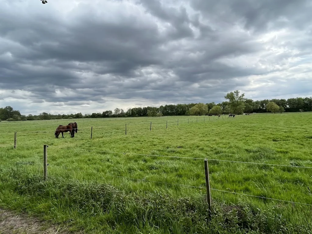 Hof Martens - Foto 1