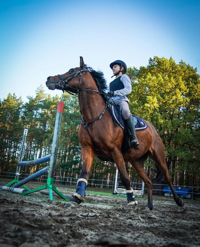 Reit- & Springsport Zentrum Sielow - photo 1