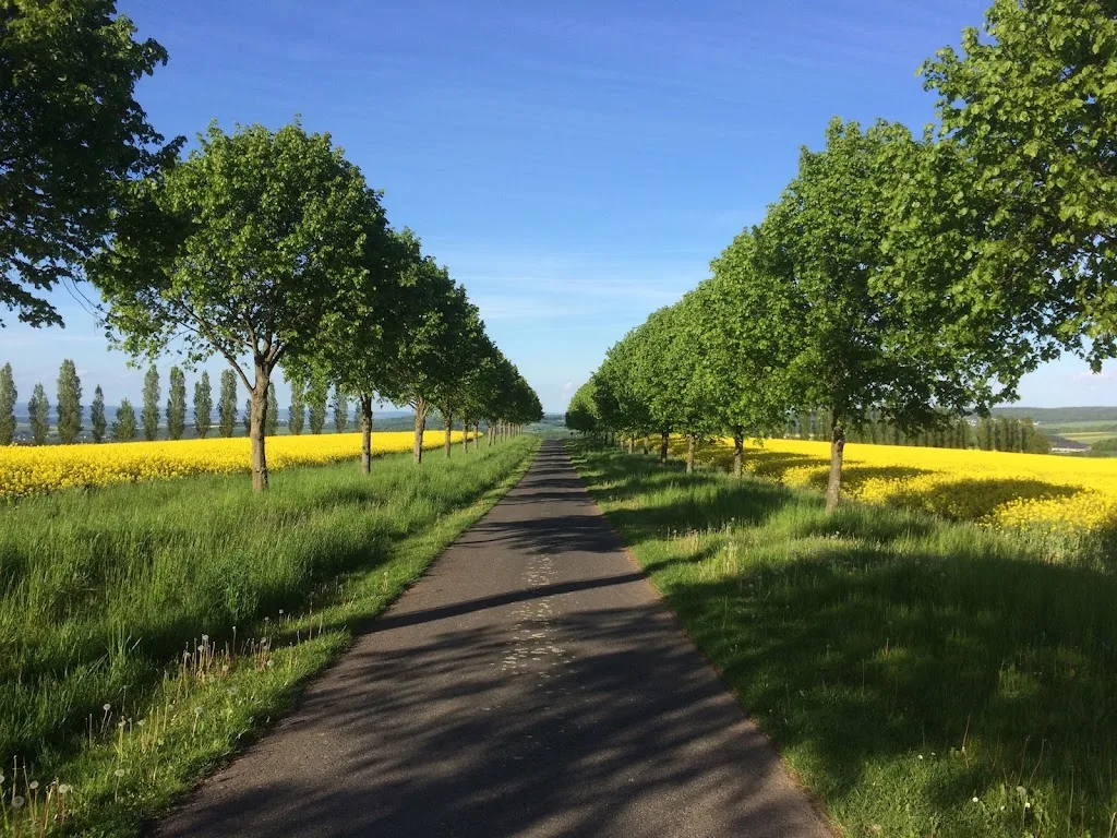 Amselhof Kördorf - Foto 2