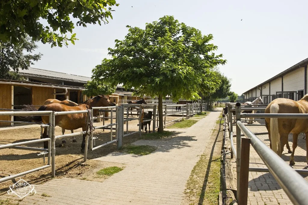 Astoria Ranch - Foto 1