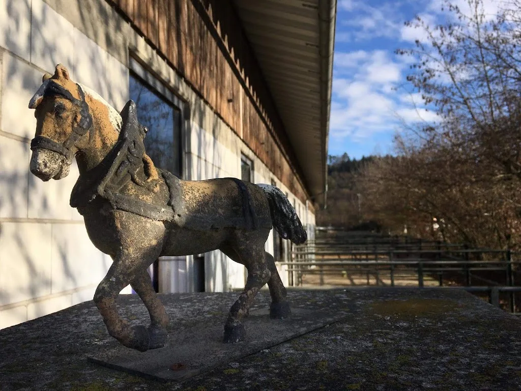 Heiniger Sportpferde - photo 3