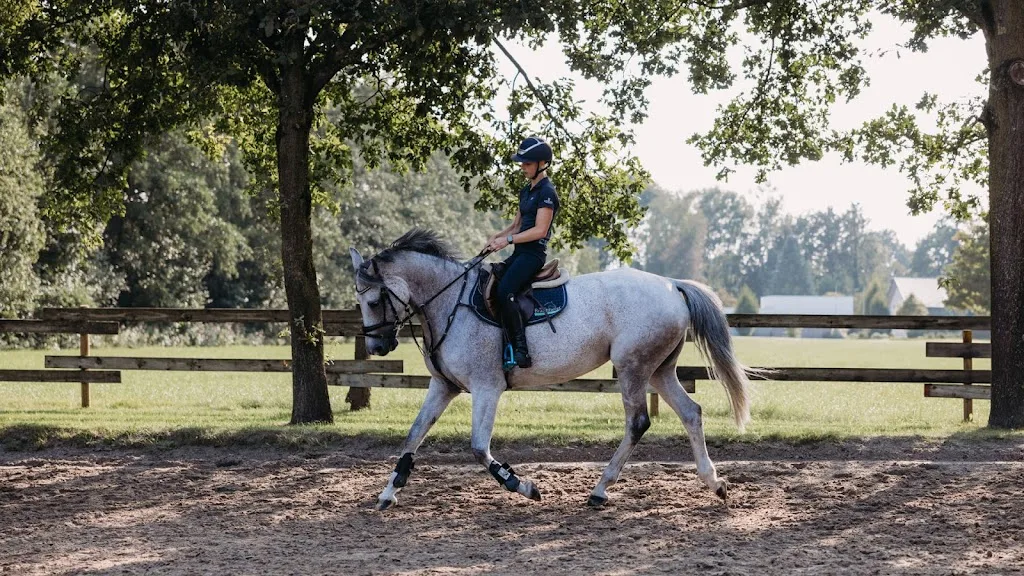 Reitanlage Brautmeier - Foto 1