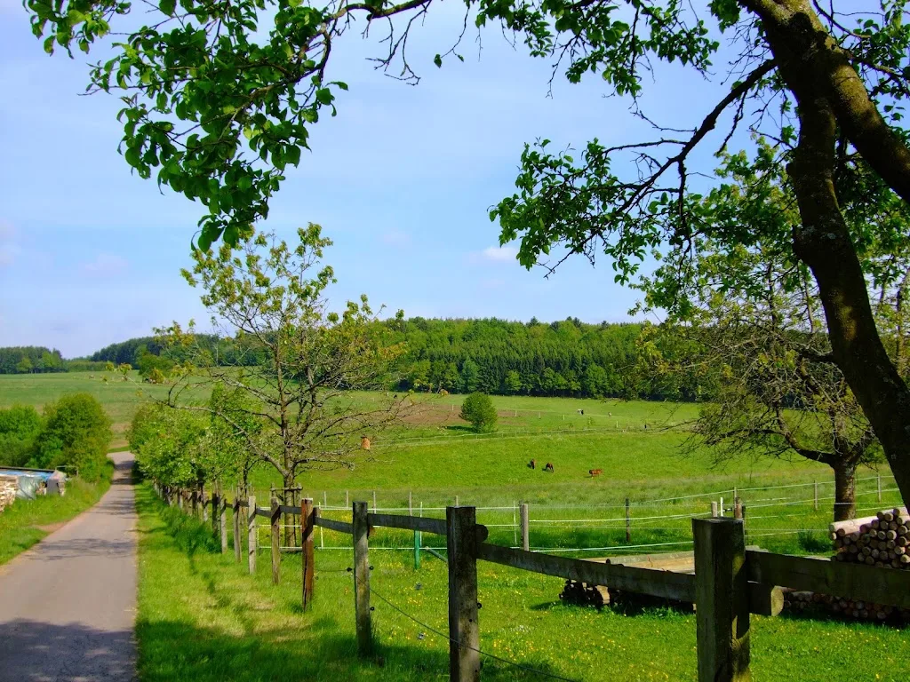 Pferdehof Bei uns Eifel - photo 2