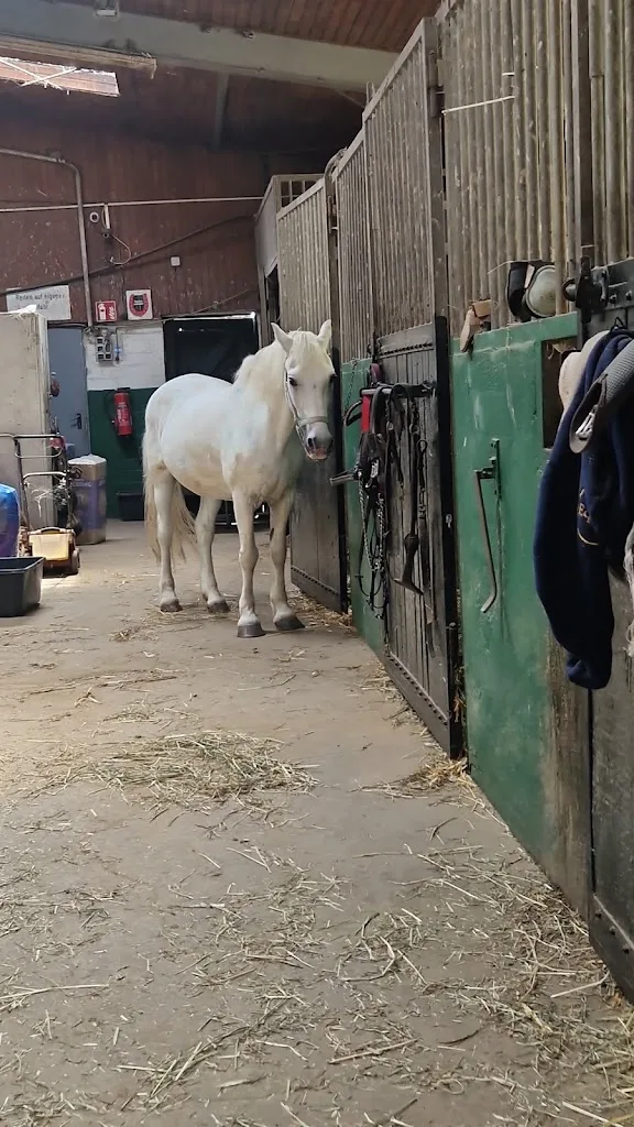 Reitstall Morschheuser - Foto 1