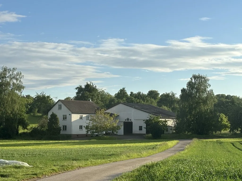 Islandpferdehof Lerchenberg - Foto 1
