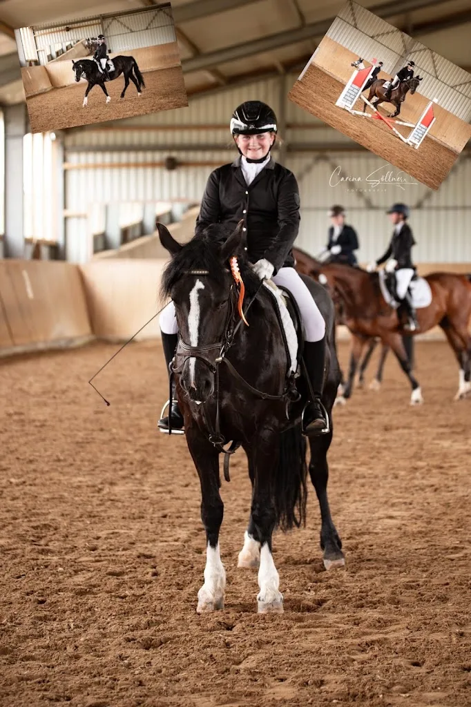 Reitanlage Winkler - Foto 1