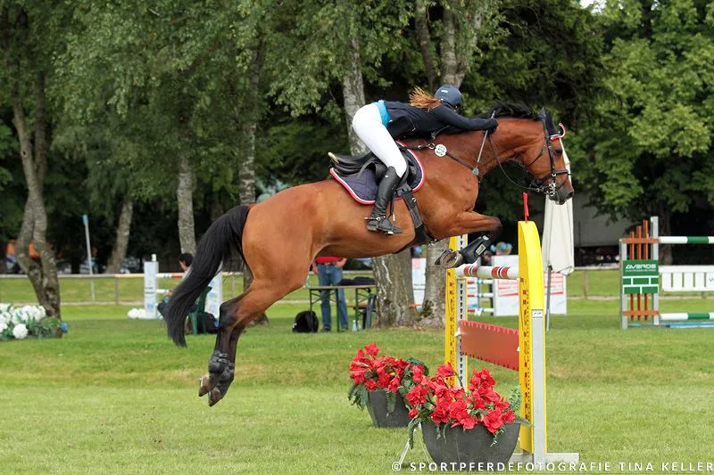 Reitanlage Winkler - Foto 2
