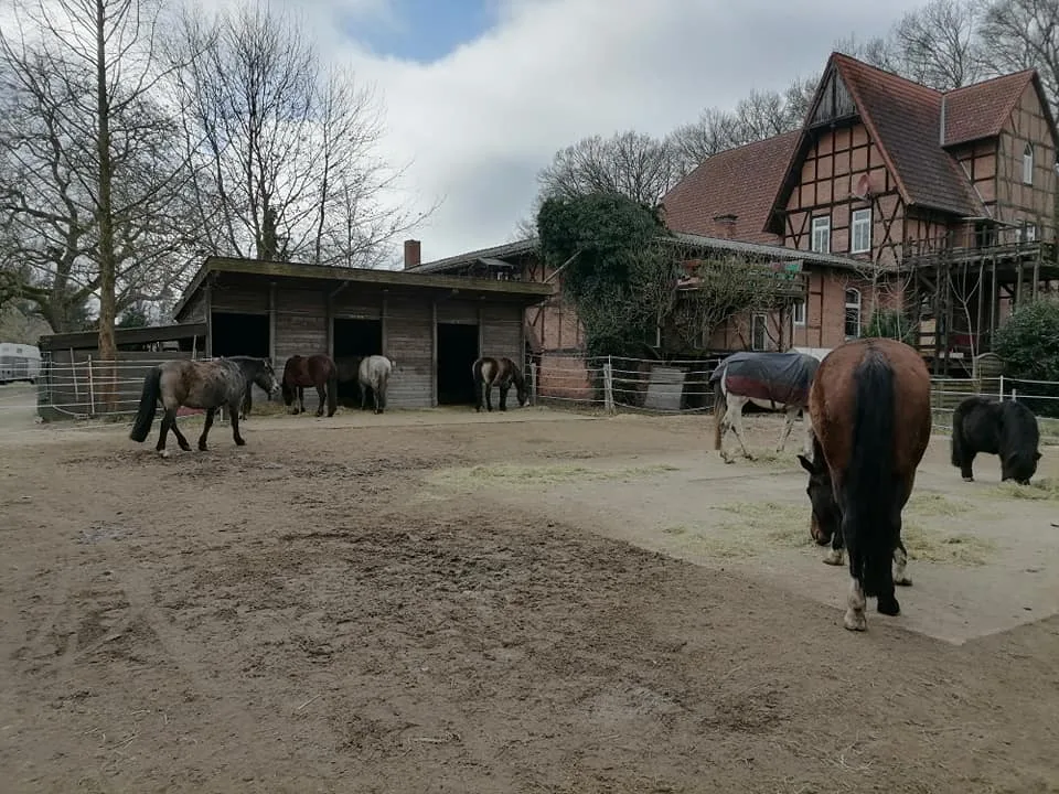 Reitstall Melkof - Foto 1